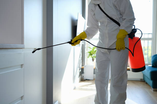Best Mold Testing  in Pine Nyon, CA